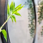 Living * Κόρδοβα