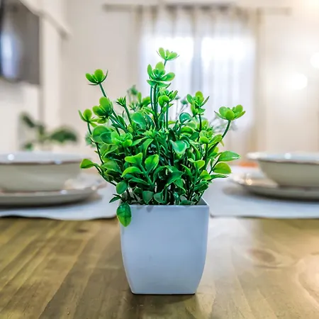 Living Кордова