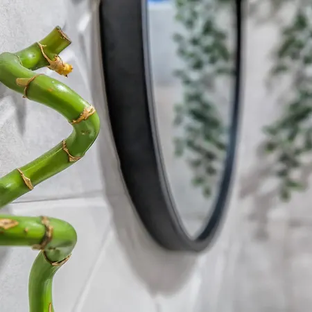 Living Apartment Cordoba