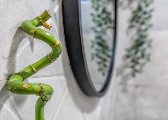 Living Appartamento Cordova